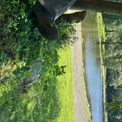 Photo submitted by Adrian