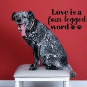 Photo submitted by Christina