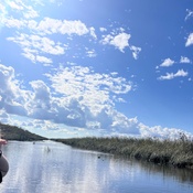 Photo submitted by Guest