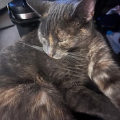 Photo submitted by Lynn