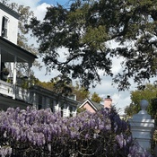 Photo submitted by Groupon