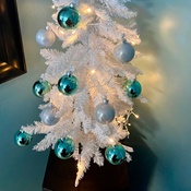 Photo submitted by melissa