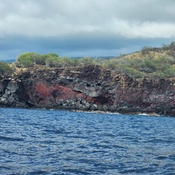 Photo submitted by Tracy