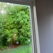 Photo submitted by Guest