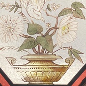 Photo submitted by dorothy