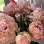 Photo submitted by Victoria