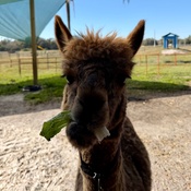 Photo submitted by Alexa