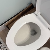 Photo submitted by Renata