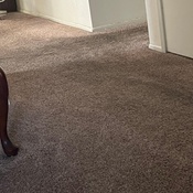 Photo submitted by La