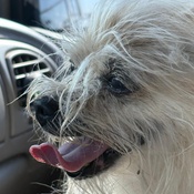 Photo submitted by Yolanda