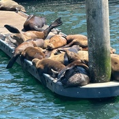 Photo submitted by Larissa