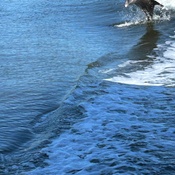 Photo submitted by Kris