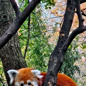 Photo submitted by hery