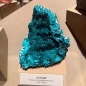 Photo submitted by Adriana