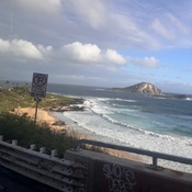 Photo submitted by Guest