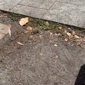 Photo submitted by Crystal