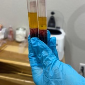 Photo submitted by Guest