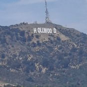 Photo submitted by Alison