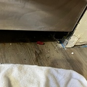 Photo submitted by Nerma