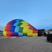 Photo submitted by Amy