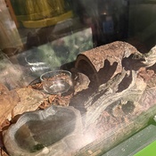 Photo submitted by Jhonny