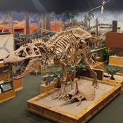 Photo submitted by Guest