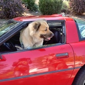 Photo submitted by michella