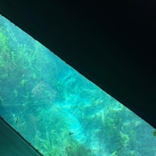 Photo submitted by Laura