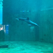 Photo submitted by Manuel