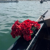 Photo submitted by Adriana