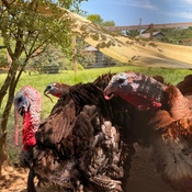 Photo submitted by rabia