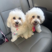 Photo submitted by Chequita