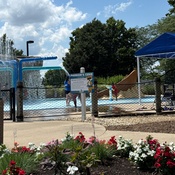 Photo submitted by Himali