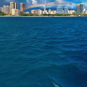 Photo submitted by Adrienne