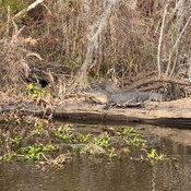 Photo submitted by Evelyn