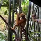 Photo submitted by Shaquasia