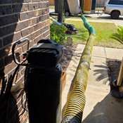 Photo submitted by toan