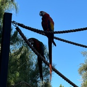 Photo submitted by Darleen