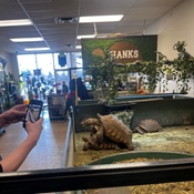 Photo submitted by Guest