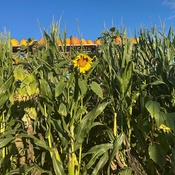 Photo submitted by ciera