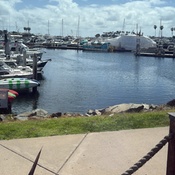 Photo submitted by Gabby