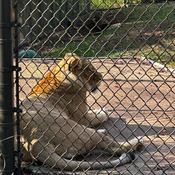 Photo submitted by Megan