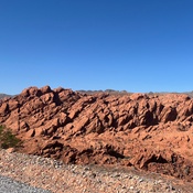 Photo submitted by Danetra