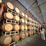 Photo submitted by Guest