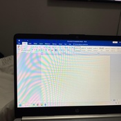 Photo submitted by Shika