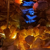 Photo submitted by Amanda