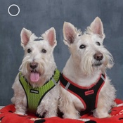 Photo submitted by Jennifer