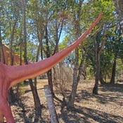 Photo submitted by Darshan