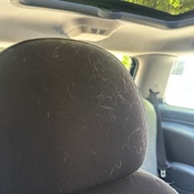 Photo submitted by Johnna