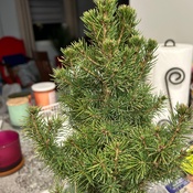 Photo submitted by Sheilah